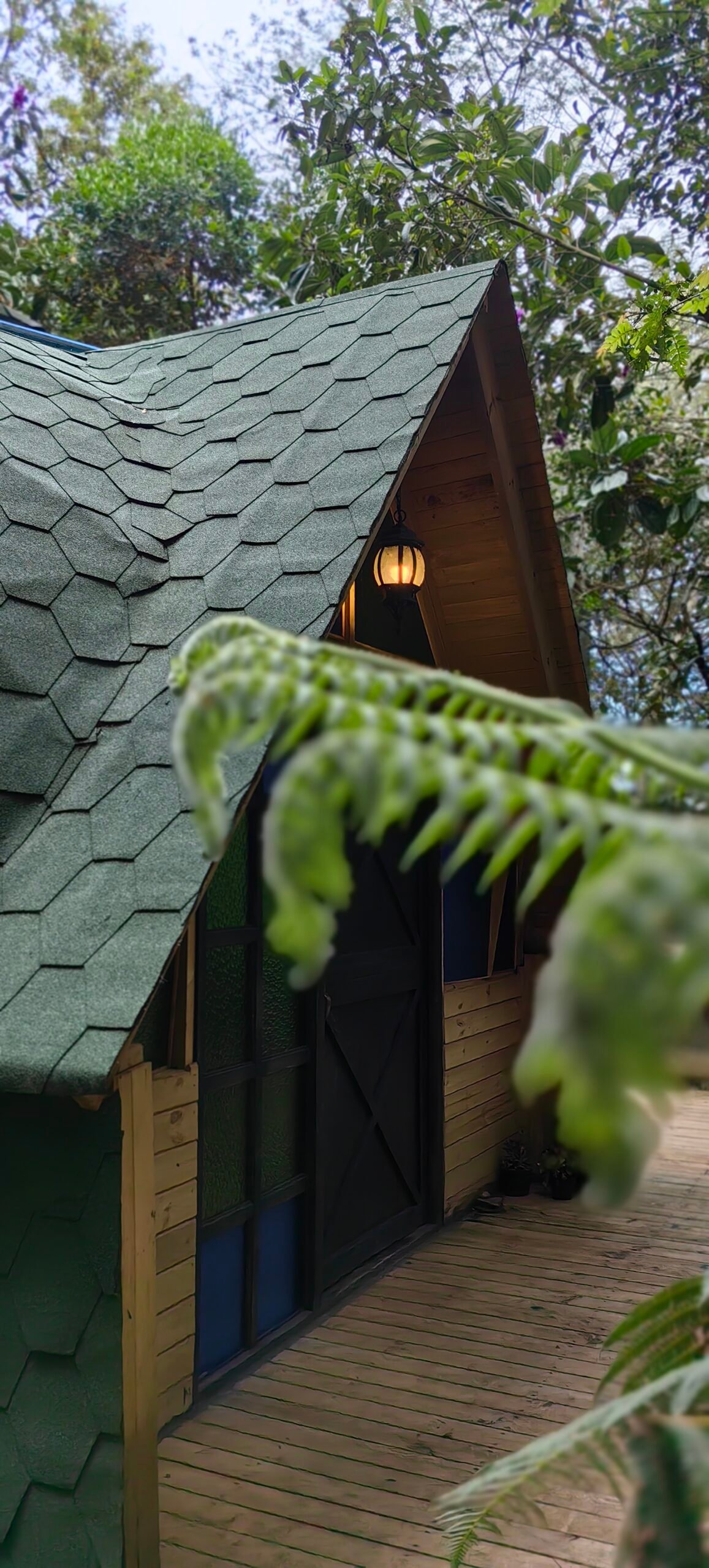 Individual Glamping Accommodation - Image 20