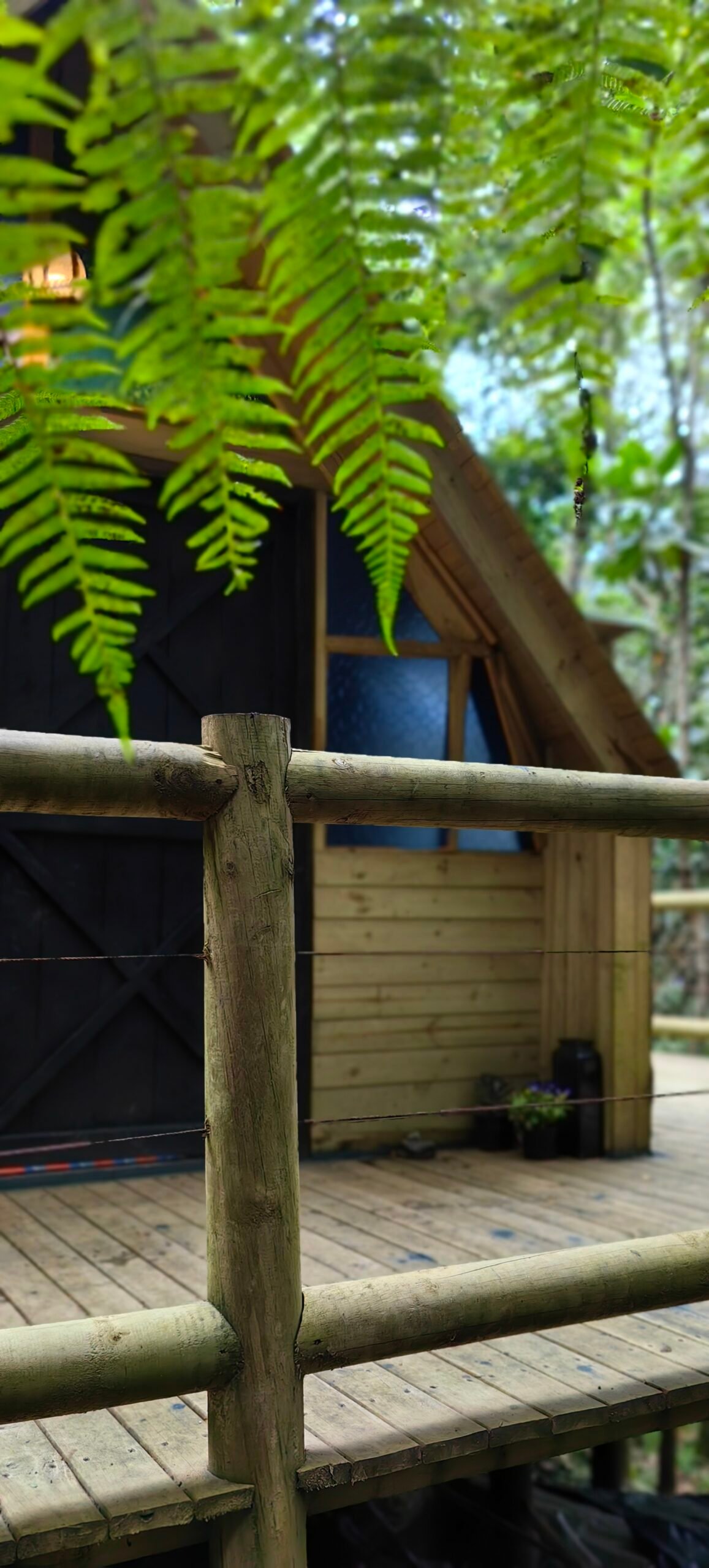 Individual Glamping Accommodation - Image 19