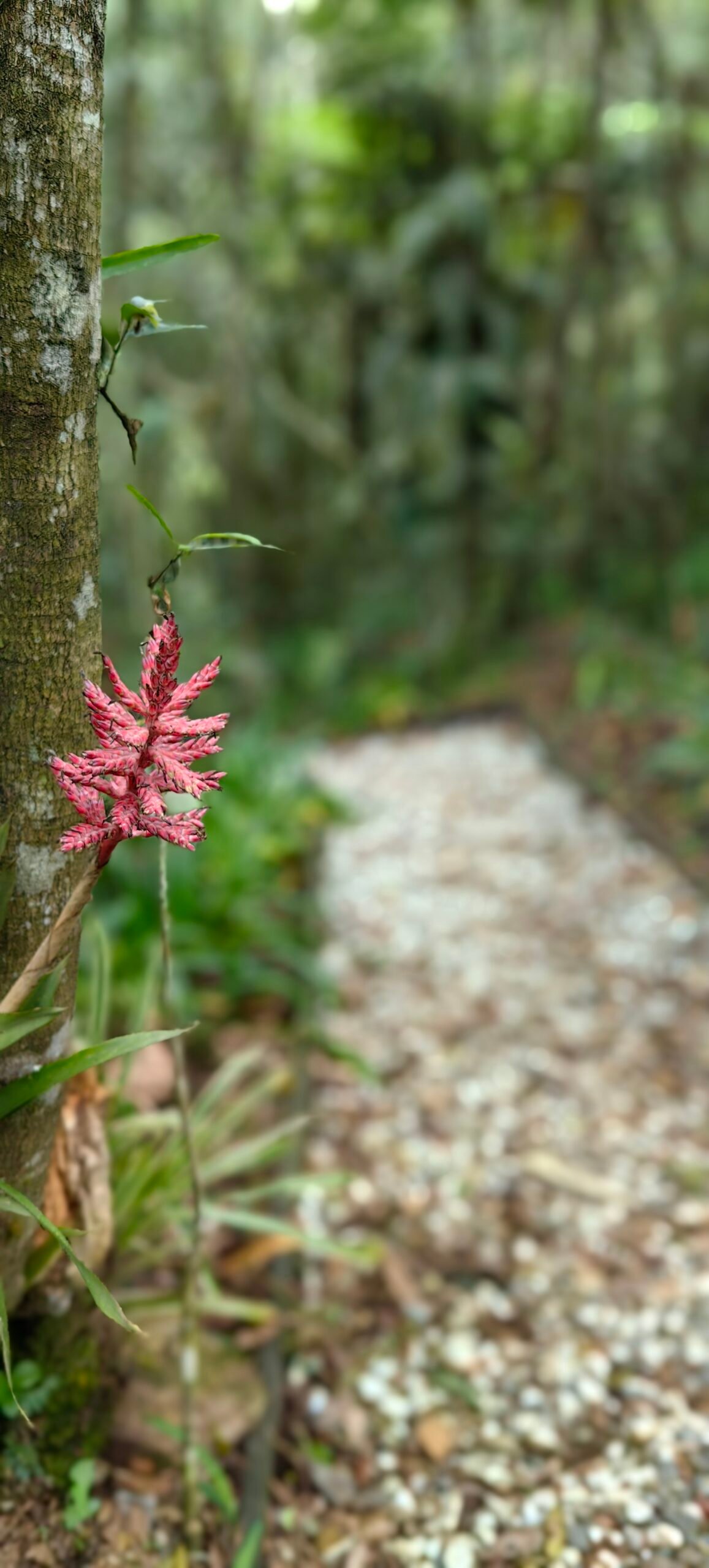 Individual Glamping Accommodation - Image 18