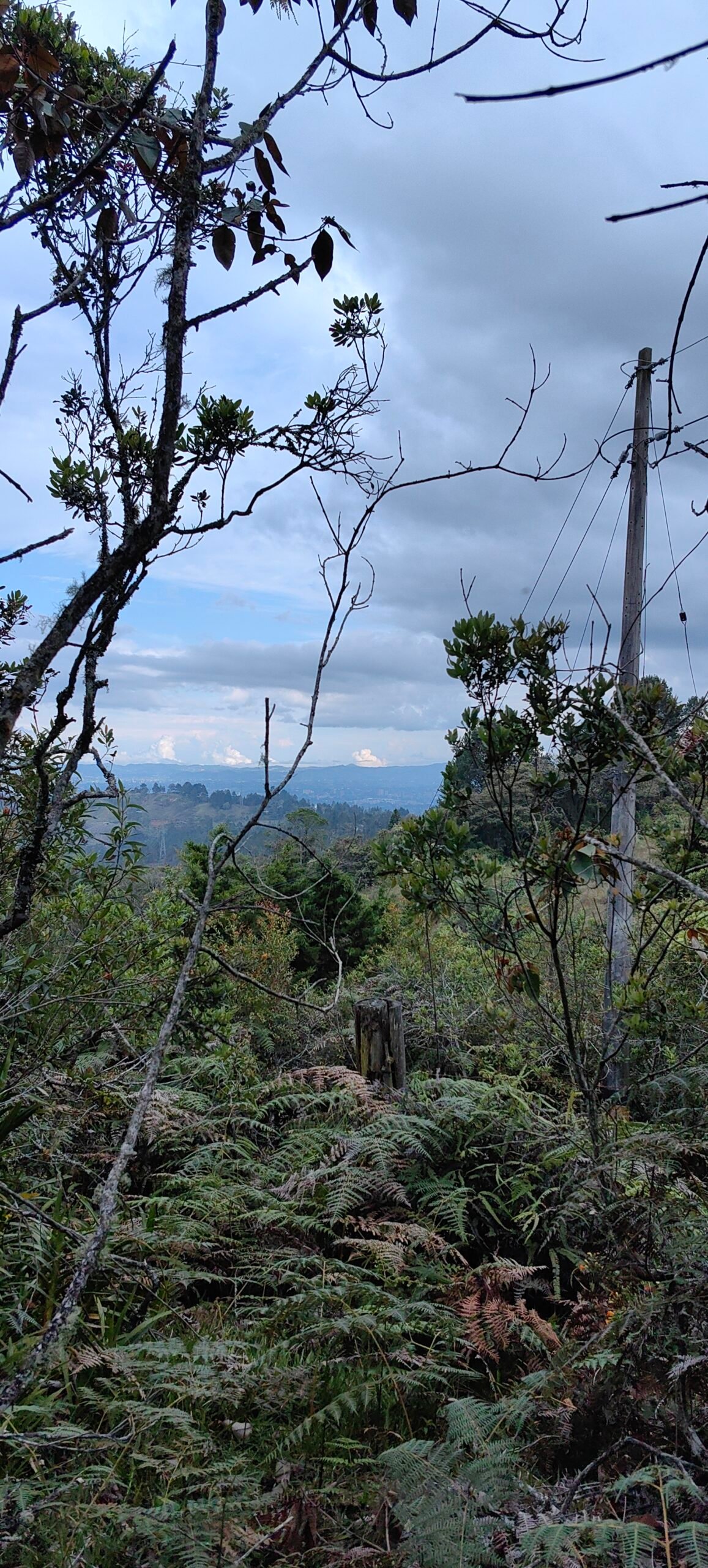 Individual Glamping Accommodation - Image 16