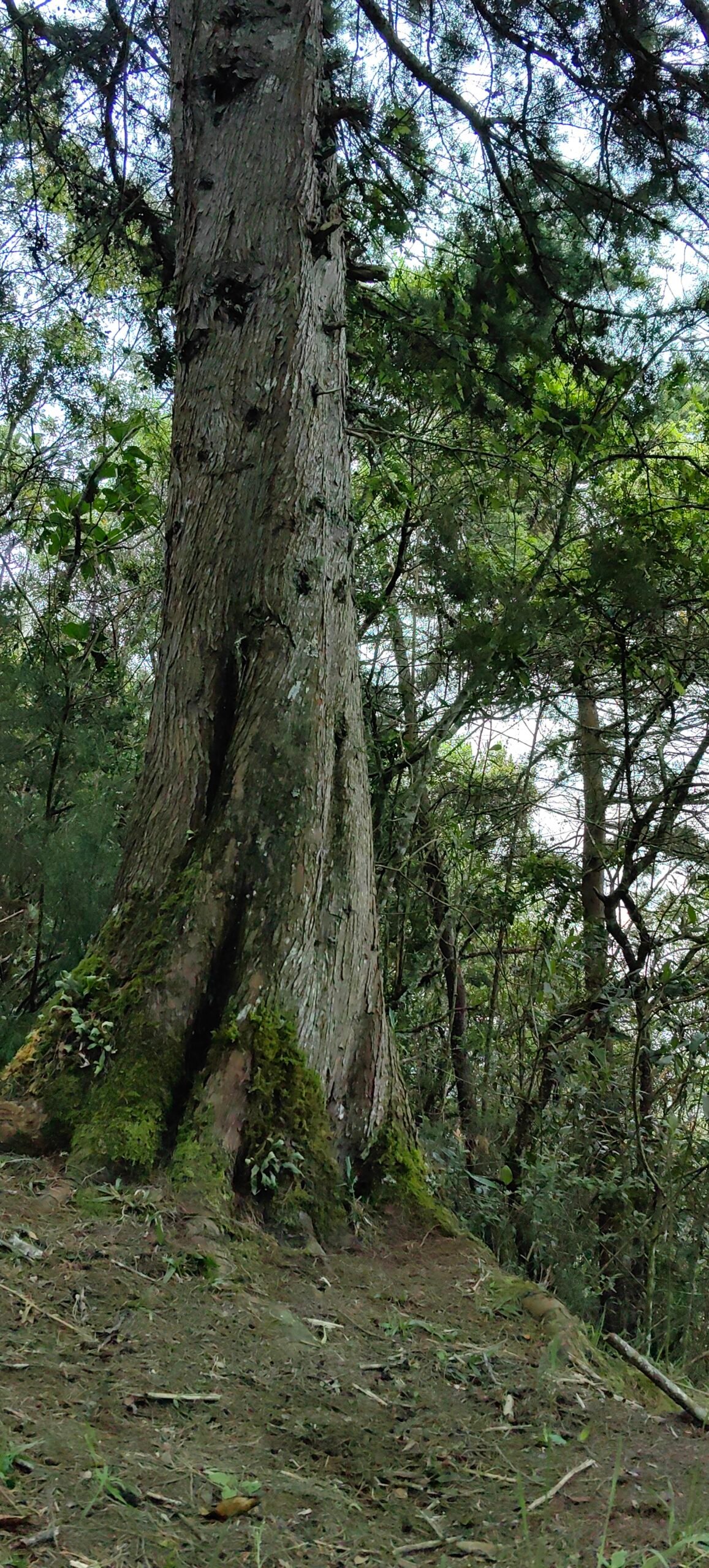 Individual Glamping Accommodation - Image 14