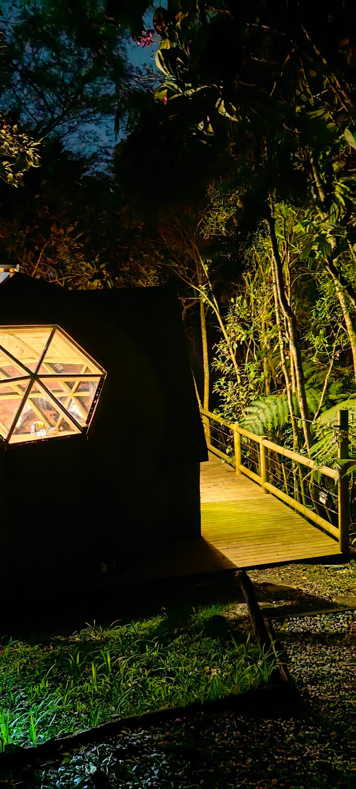 Individual Glamping Accommodation - Image 11