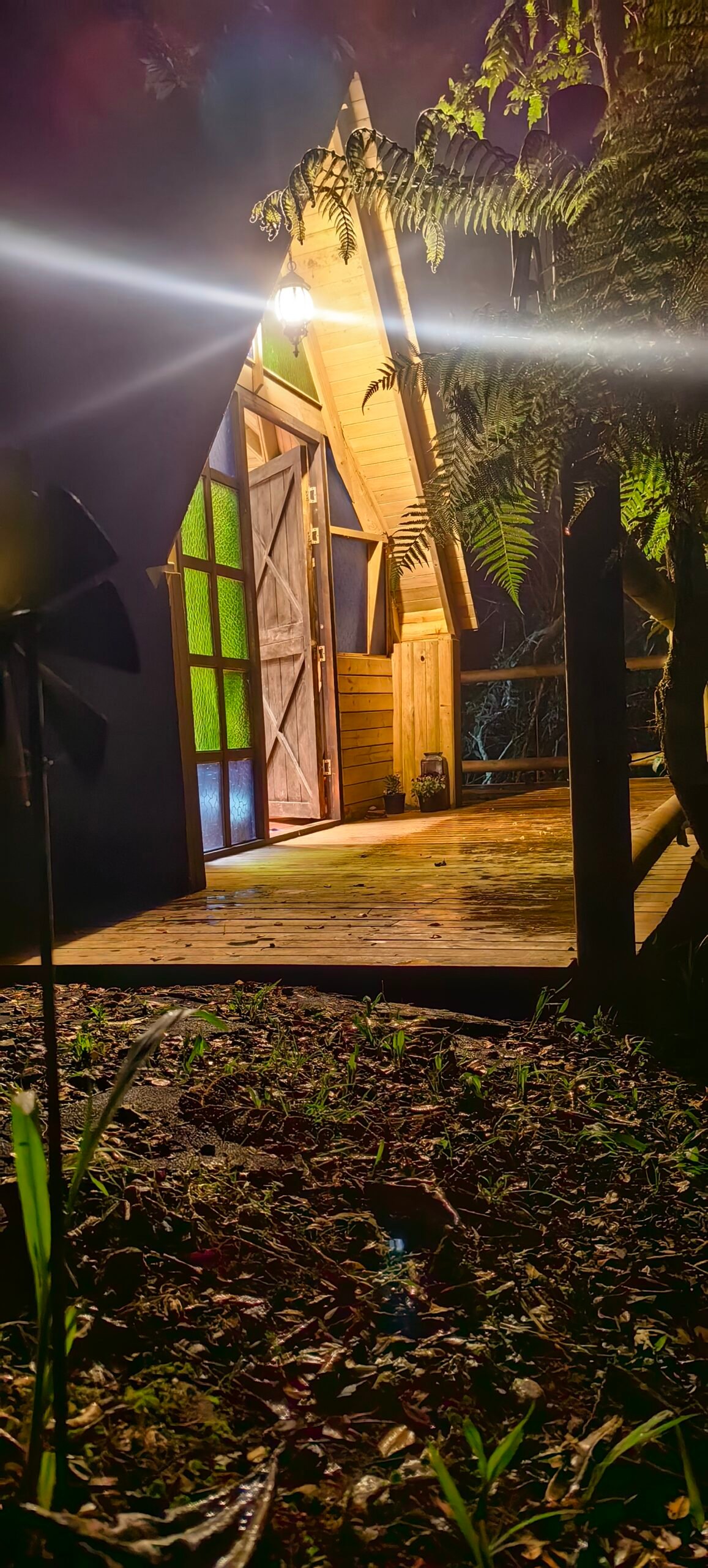 Individual Glamping Accommodation - Image 4